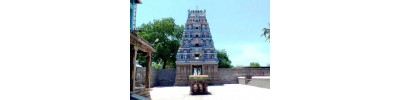 071. திருநெடுங்களம்